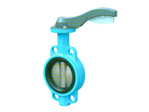 對(duì)夾式蝶閥