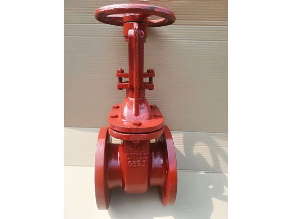 德標(biāo)明桿閘閥